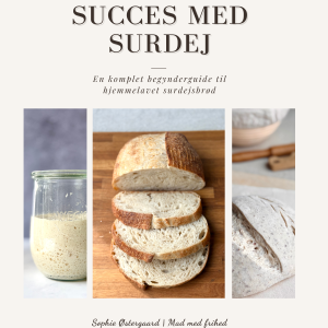 E-bog: Succes Med Surdej